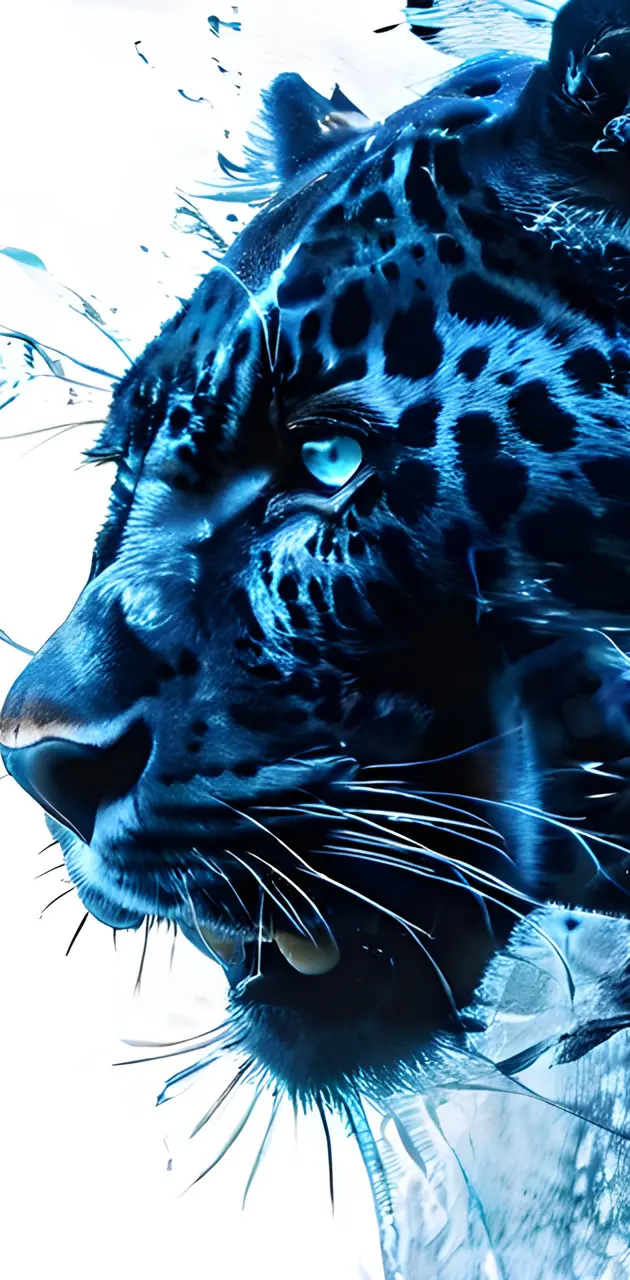 Ice eye Panther roar