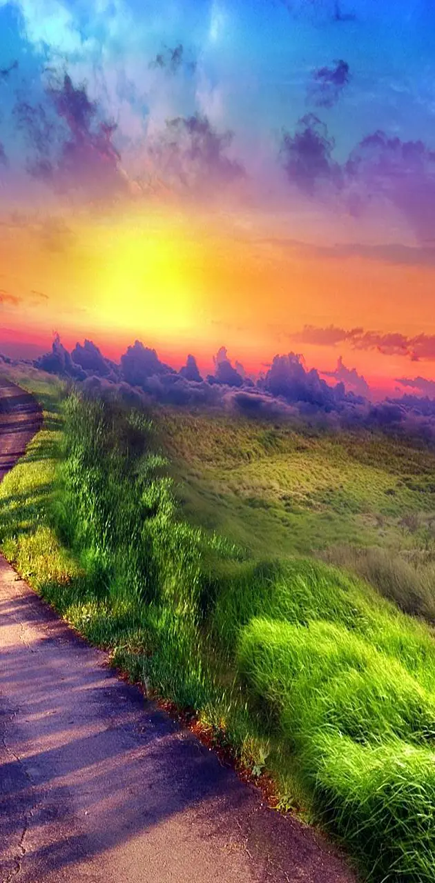 Colourful Path