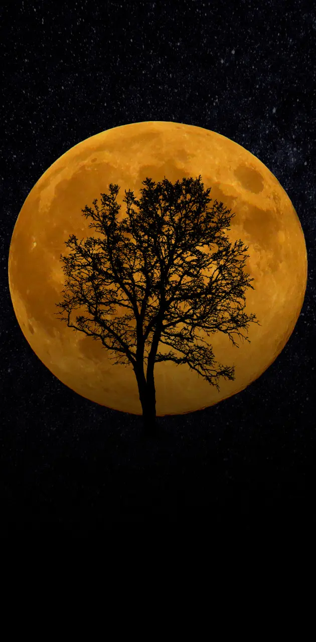 The Tree On Moon