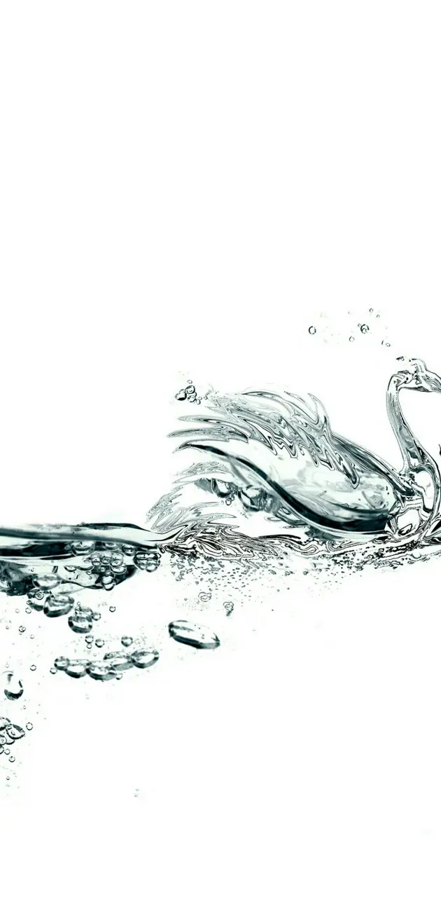 Water Swan