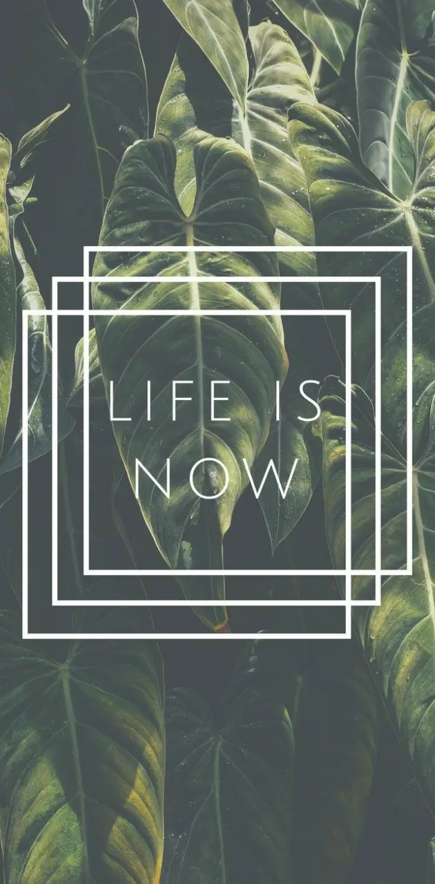 Life is now