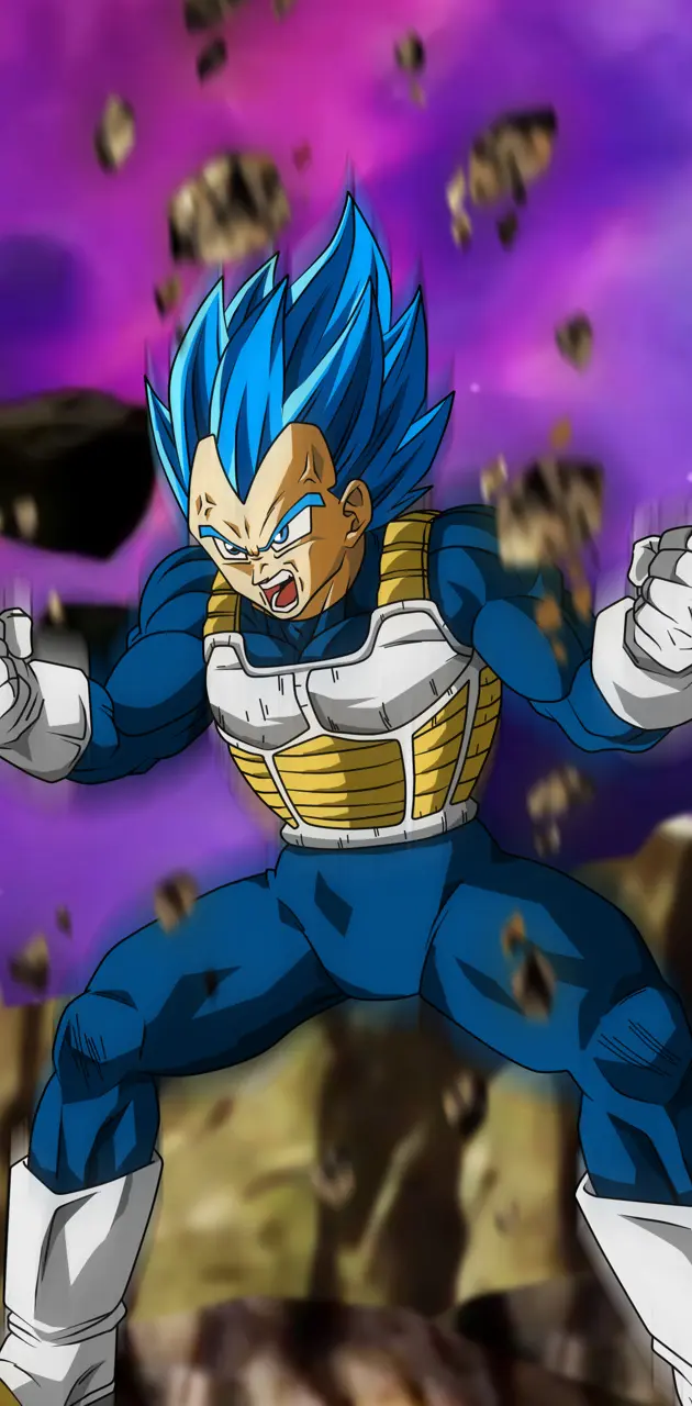 Download Vegeta Blue Evolved Goku Super Saiyan Wallpaper