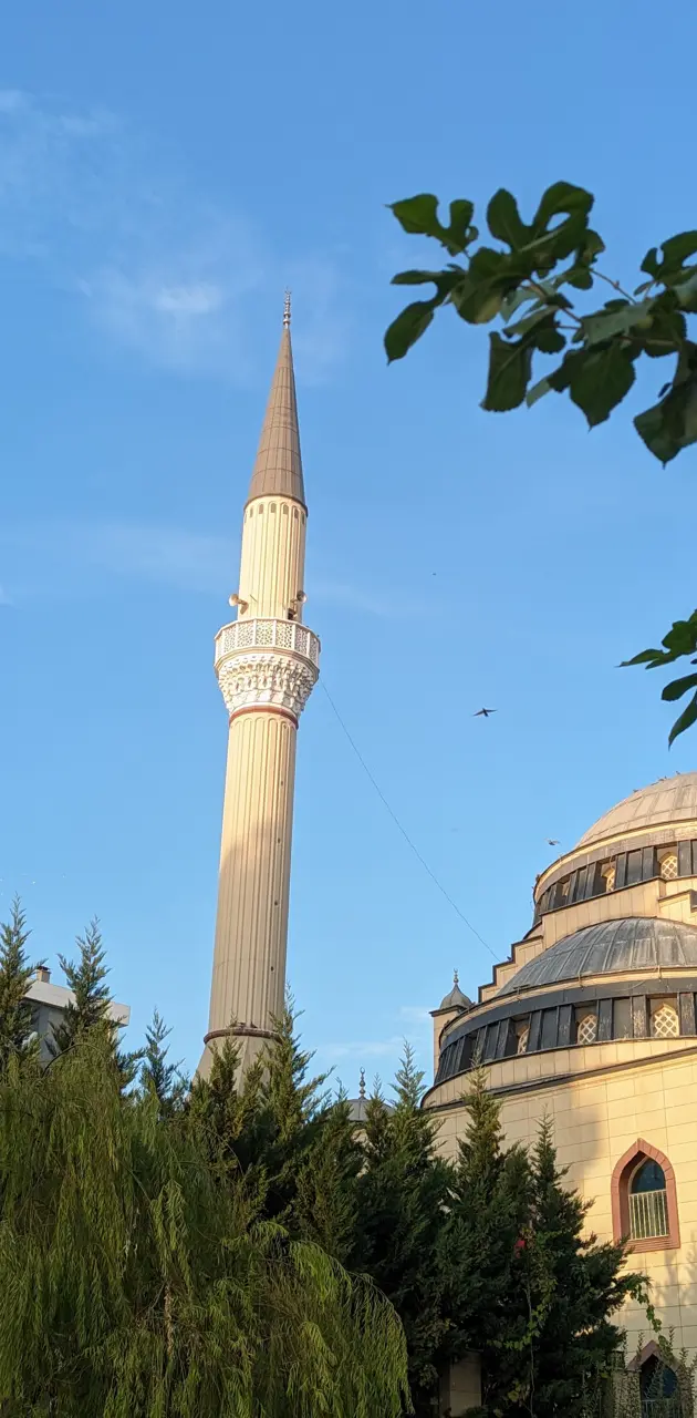 Magnificent Mosque