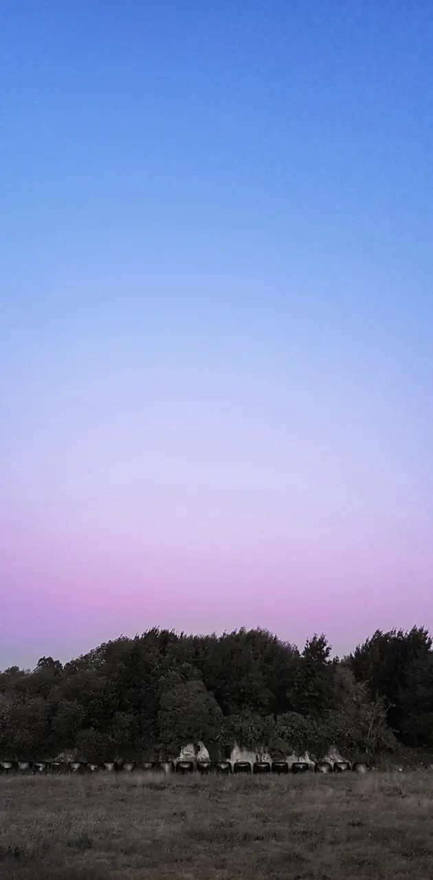 Pink sky sunset