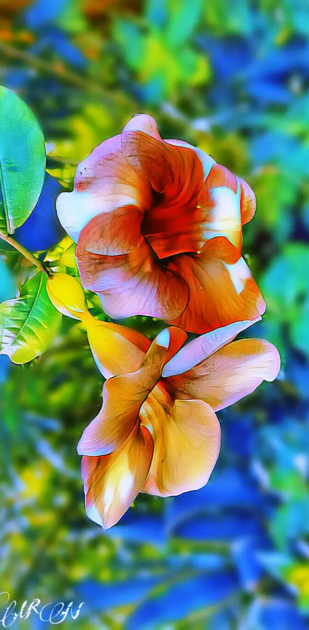 Flower blur