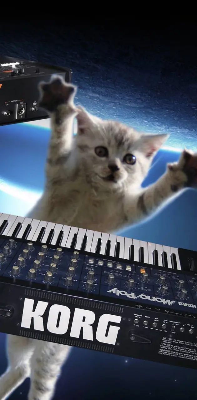 Musical space cats