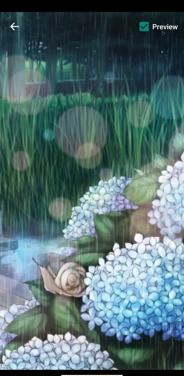 Anime Flower Rain 2