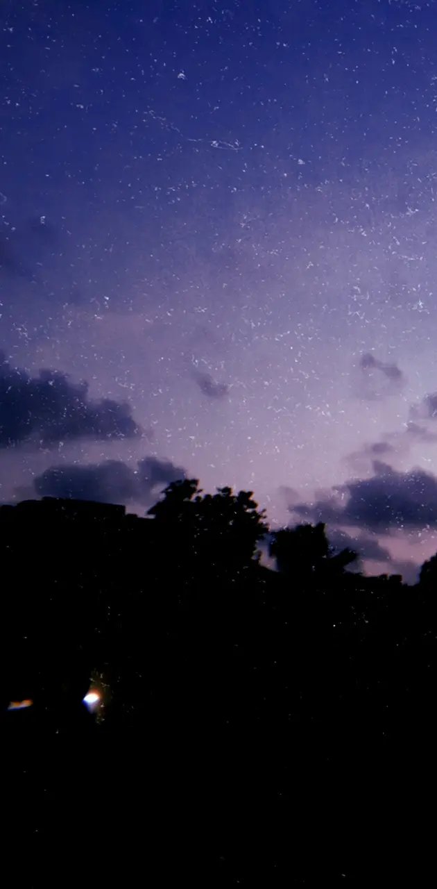 nighty sky stars
