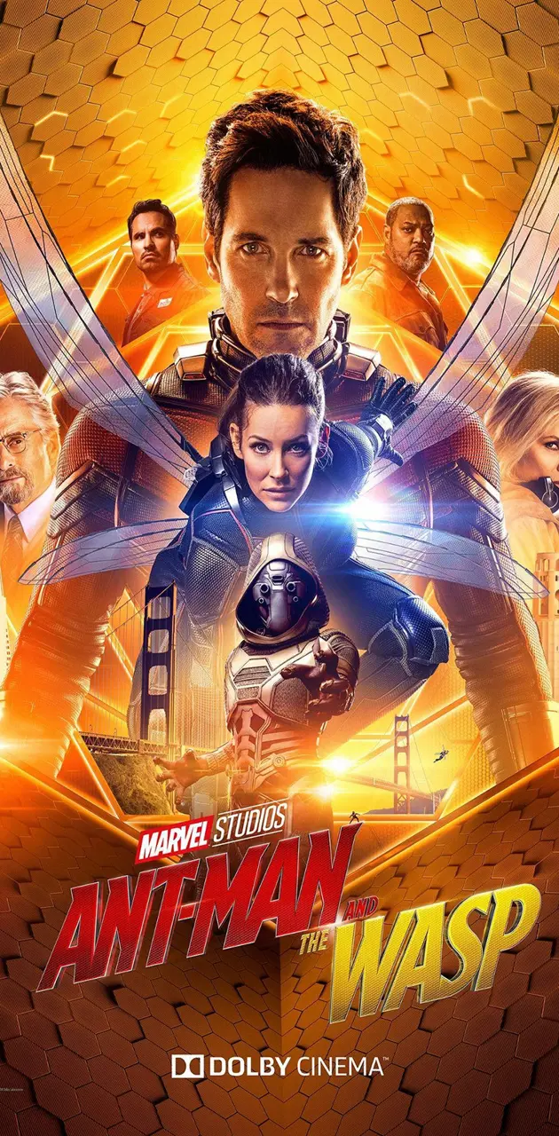 AntMan And The Wasp