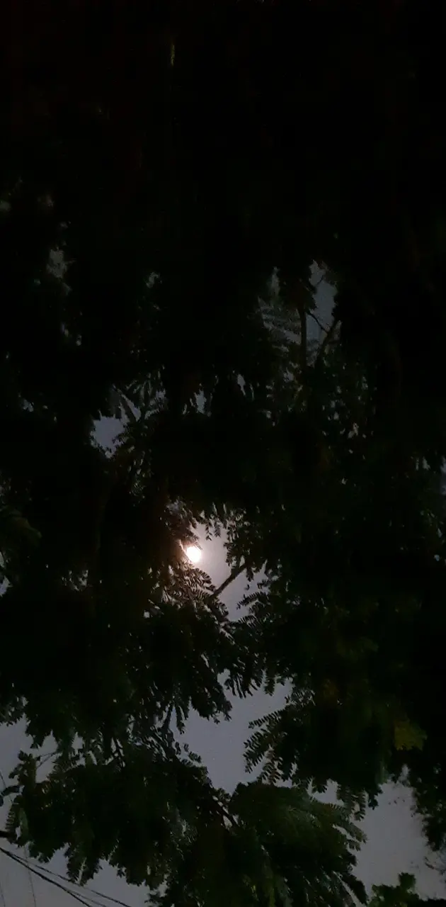 Moon light sky