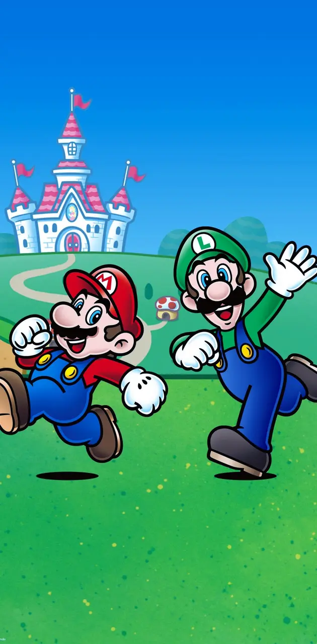 Mario n Luigi