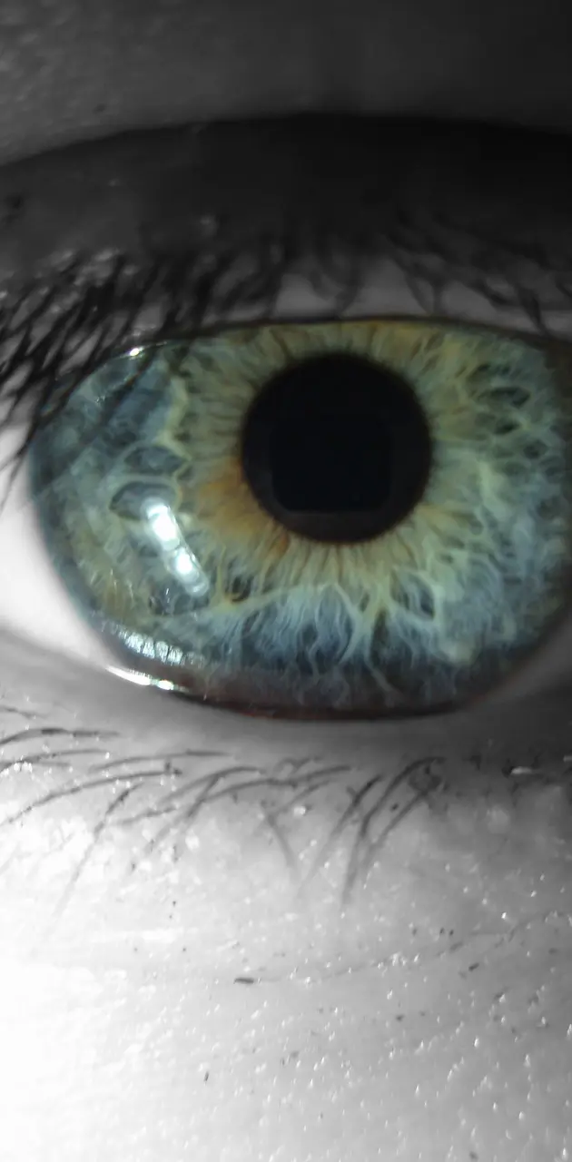 Beautiful Eye