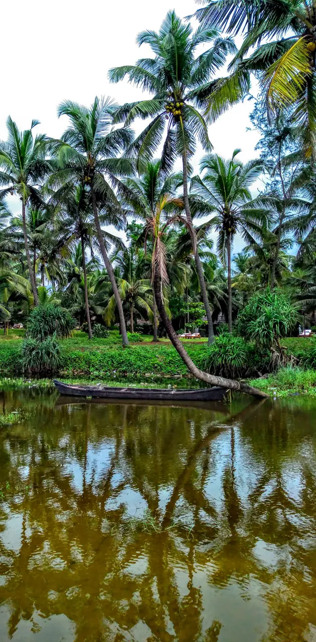 Beauty of Kerala
