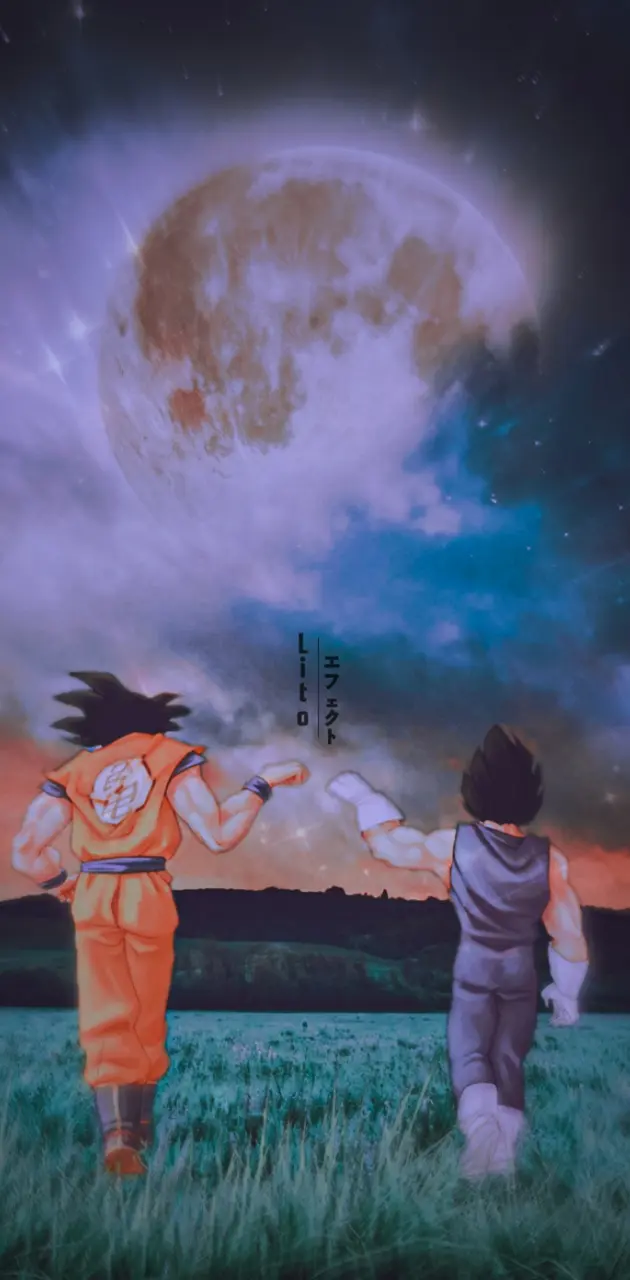 Goku x Vegeta