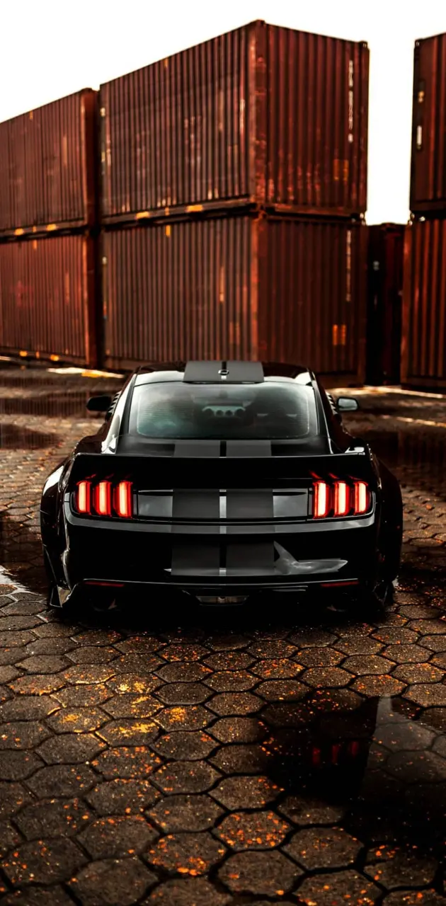 Ford Mustang arka 