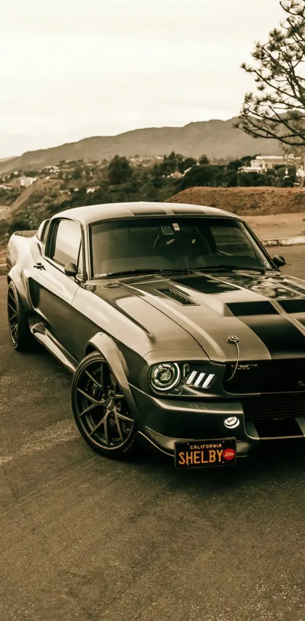 Fastback Mustang