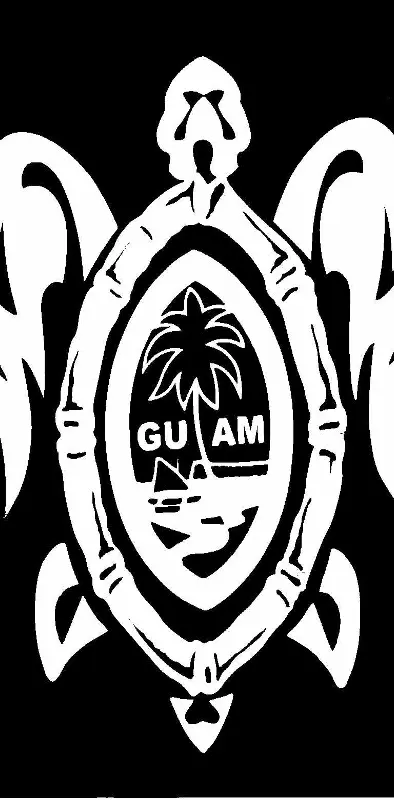 Guam Turtle 2