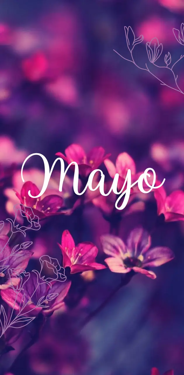 Mayo 