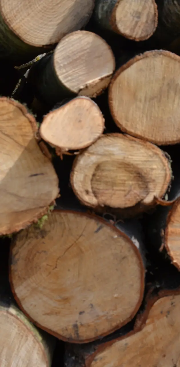Log ends wood 