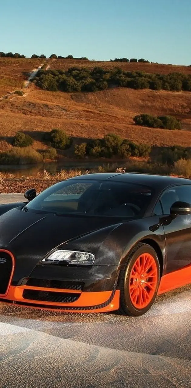 Car Bugatti Veyron