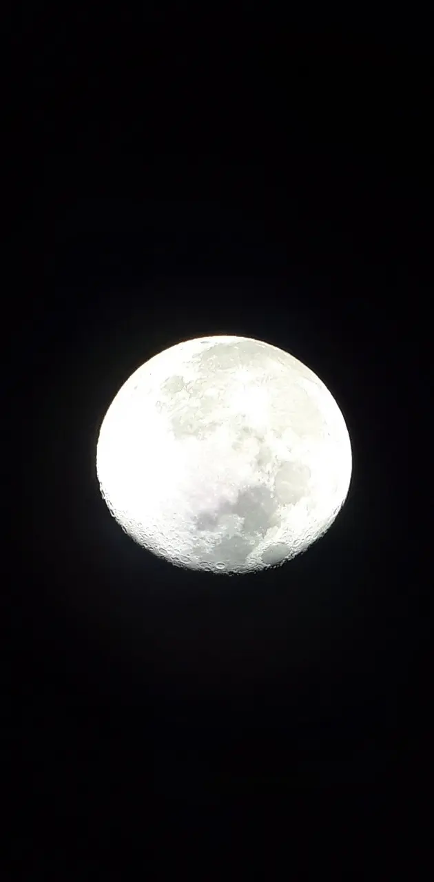Real photo of Moon