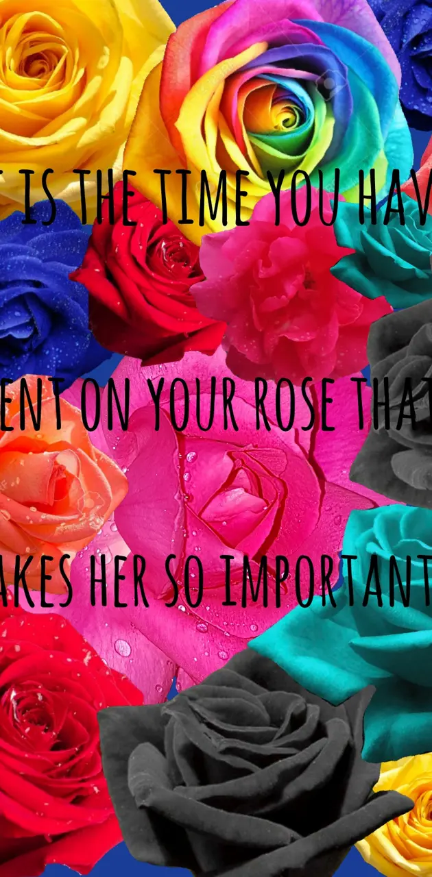 Rose quote