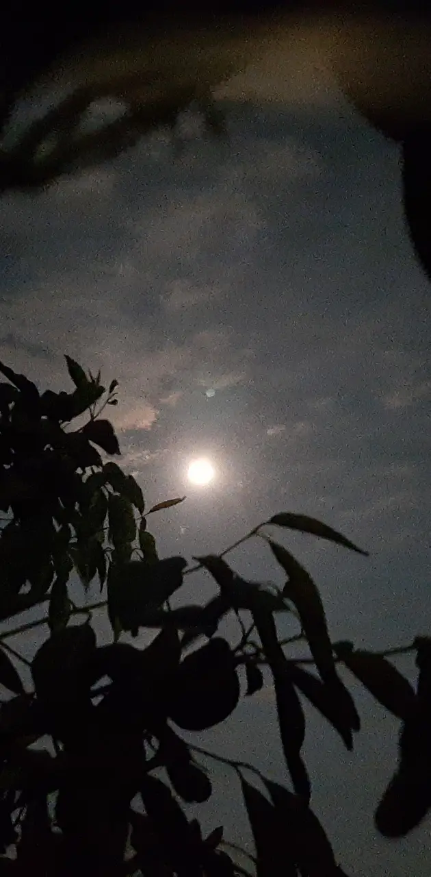 Night Moon View