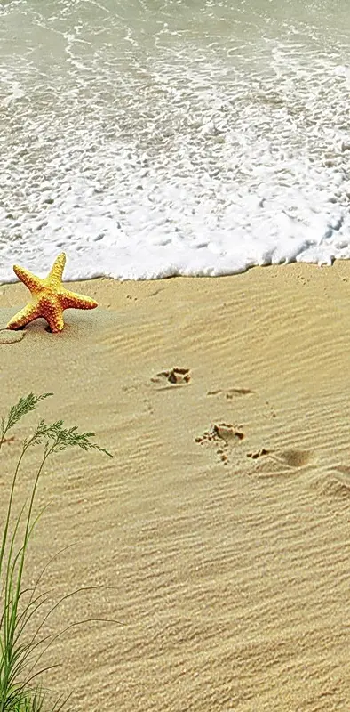 Starfish In The Sand