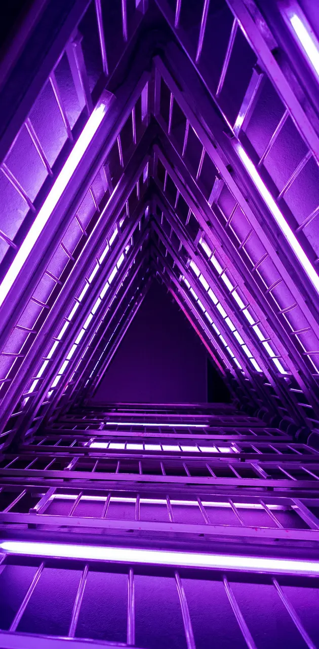 Ladder Purple