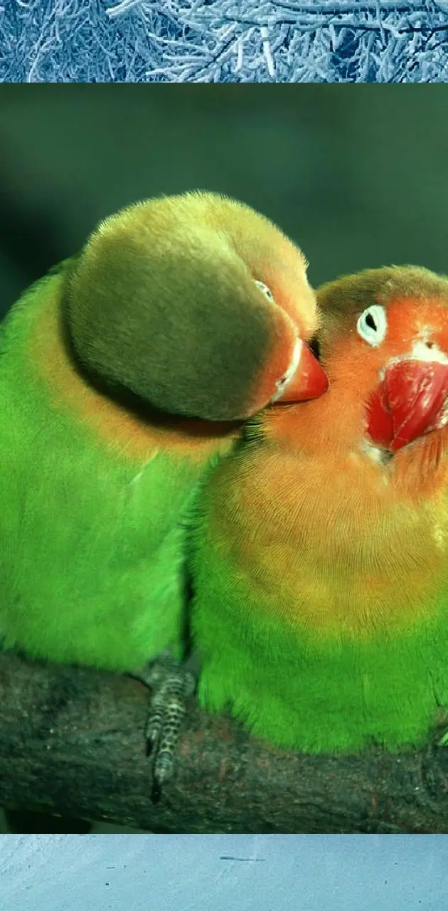 A peck on the neck