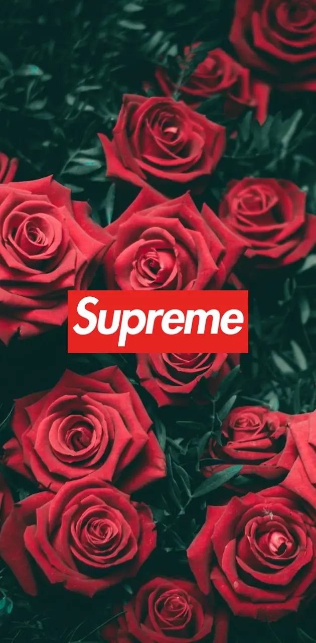 Roses Supreme
