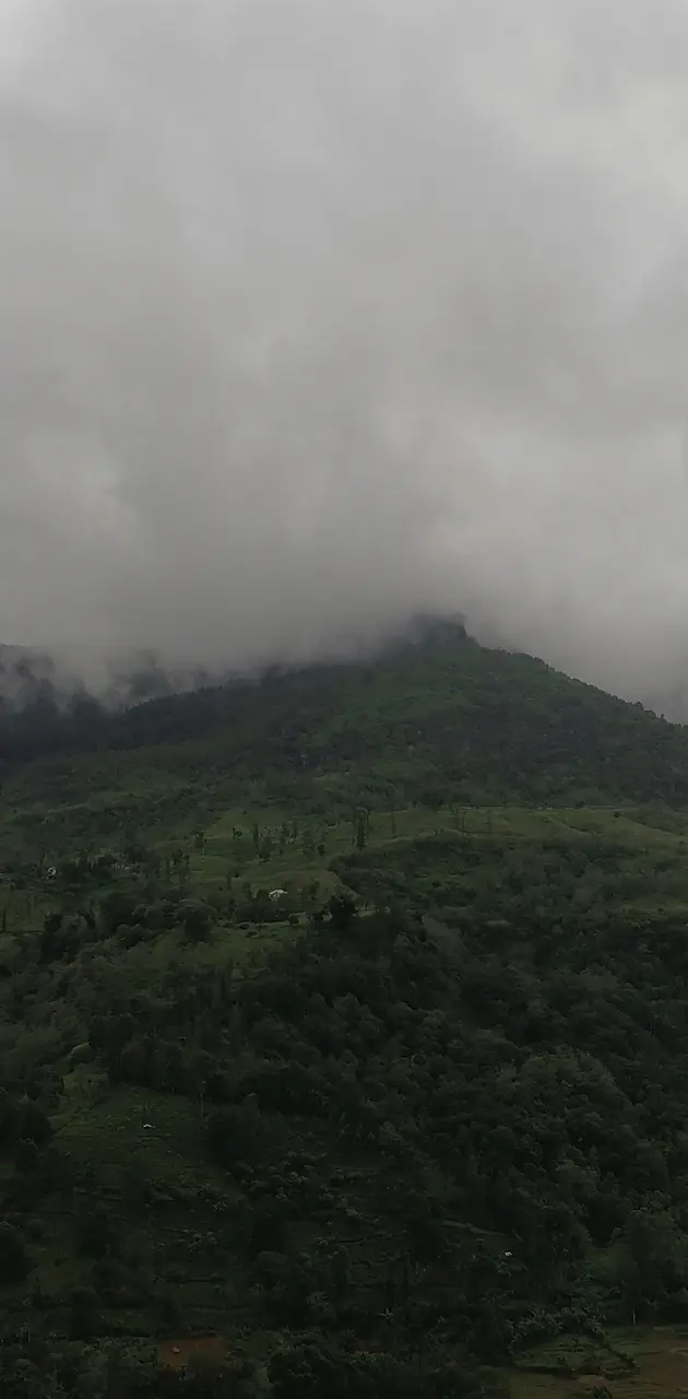Nuwaraeliya  mountains