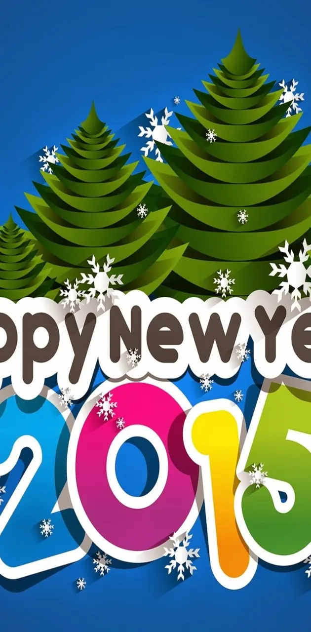 2015 New Year