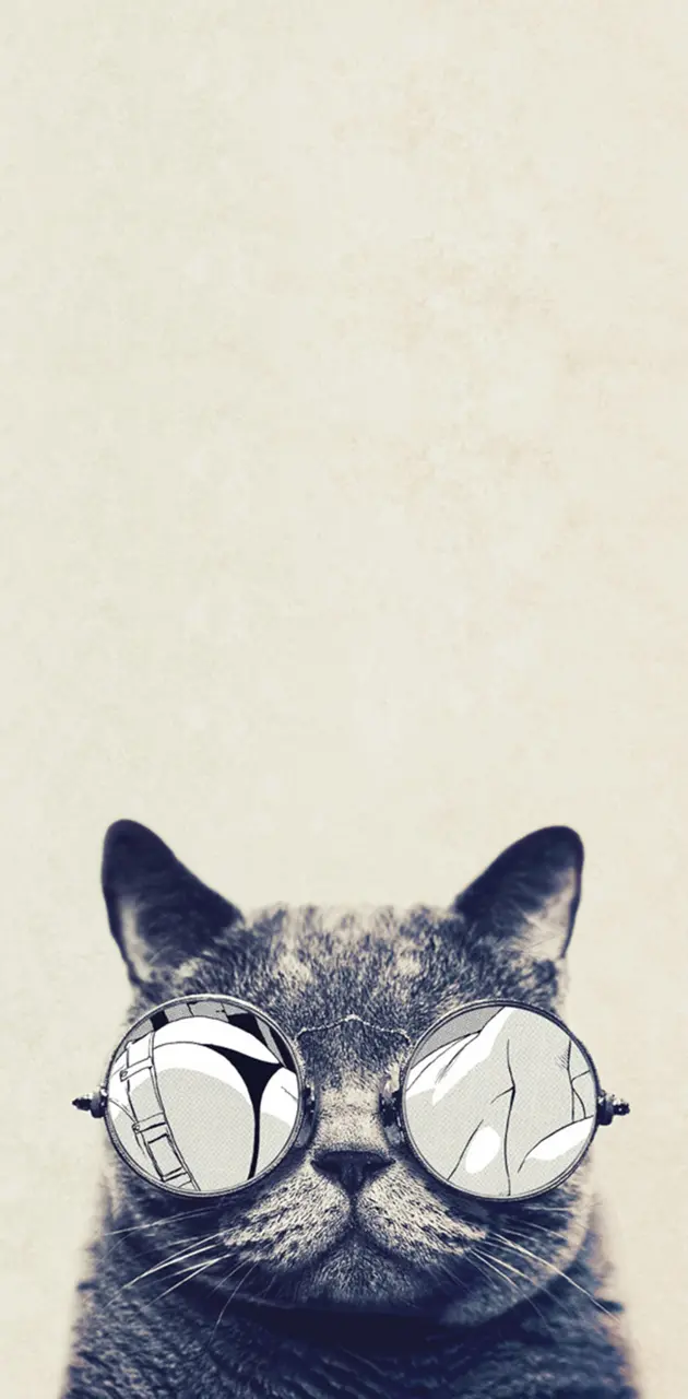 Cool Cat Glasses