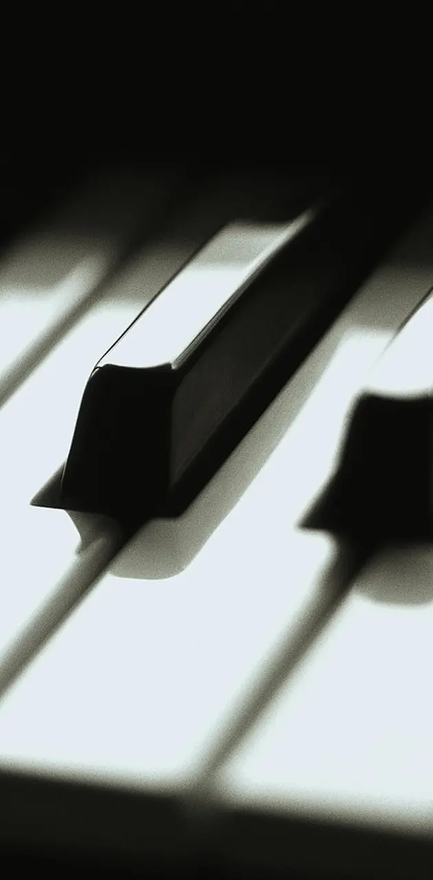 Piano Close Up