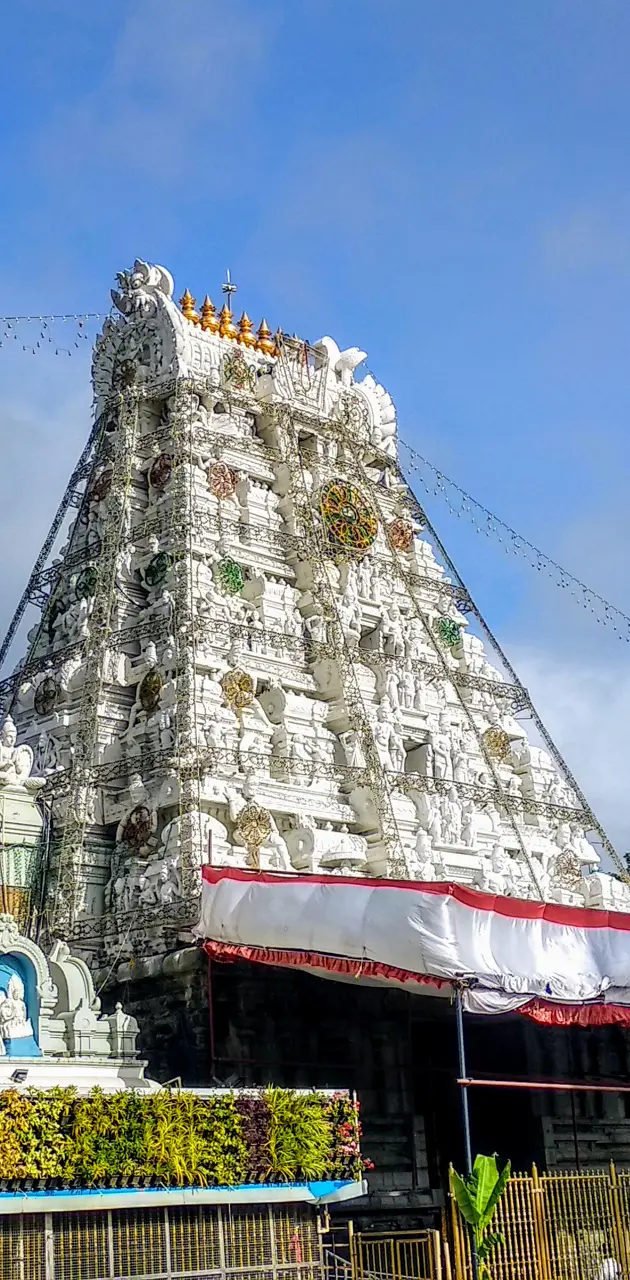 Tirumala gopuram