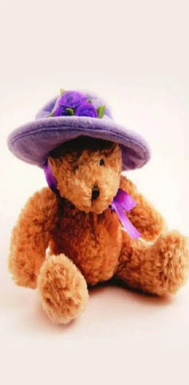 Purple Hat Bear