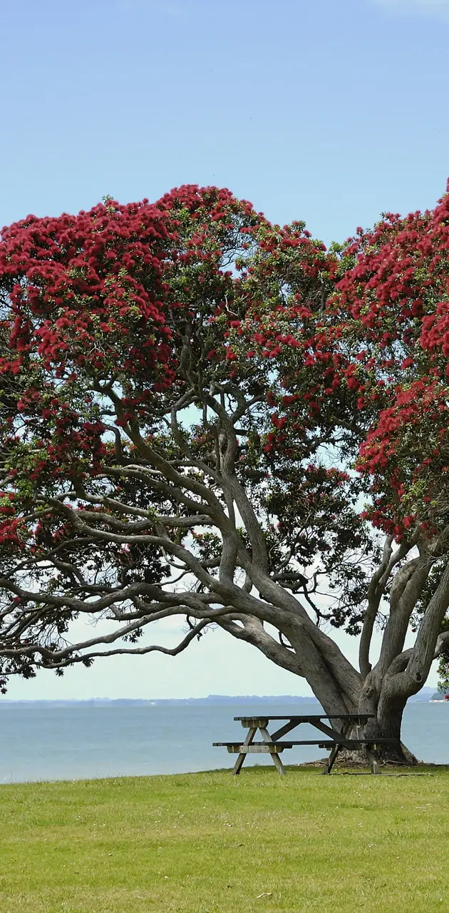 Red Flowers Tree