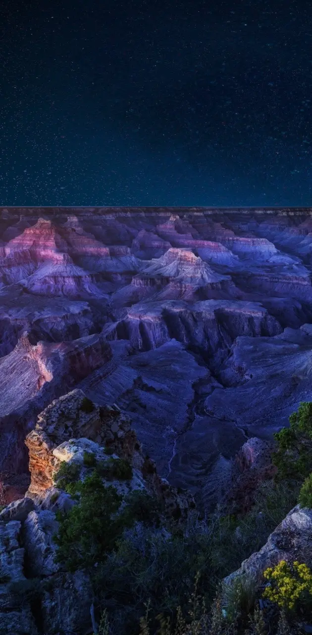Grand Canyon Stars