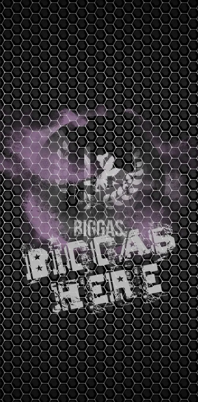 Biggas24