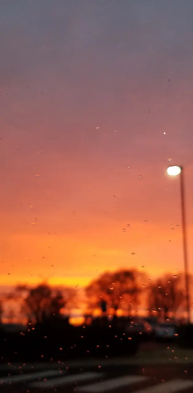 Blury Sunset