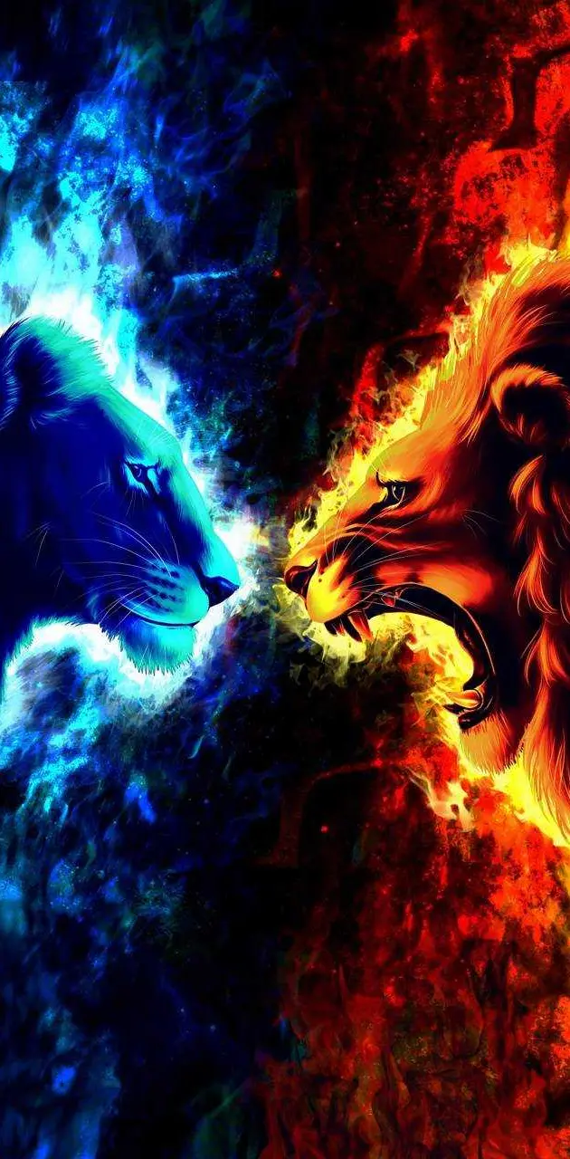 Lion N Lioness