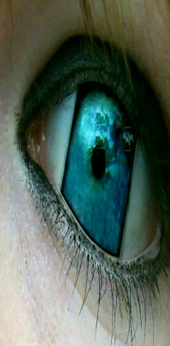 3d eye image