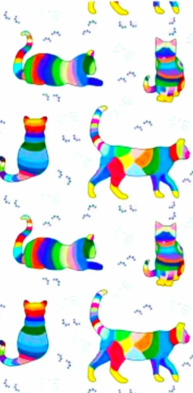 Rainbow Kittys