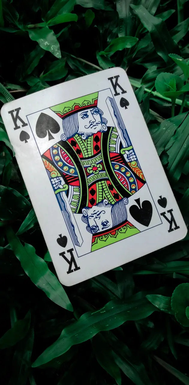 King  card