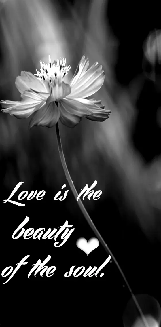 Love Is Beauty