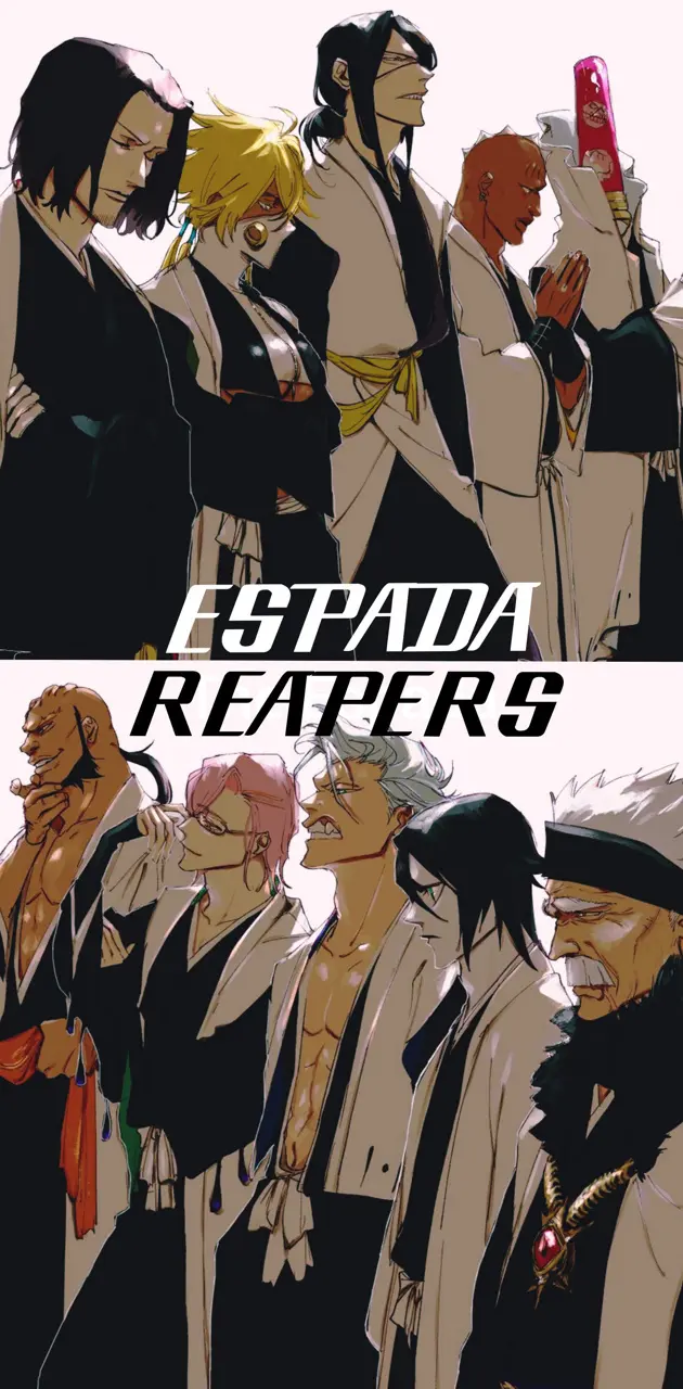 Espada as soul reapers