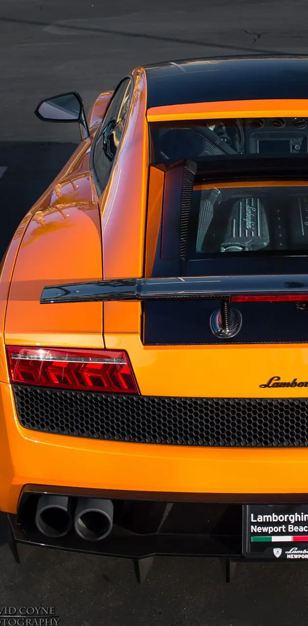 Lamborghini newport