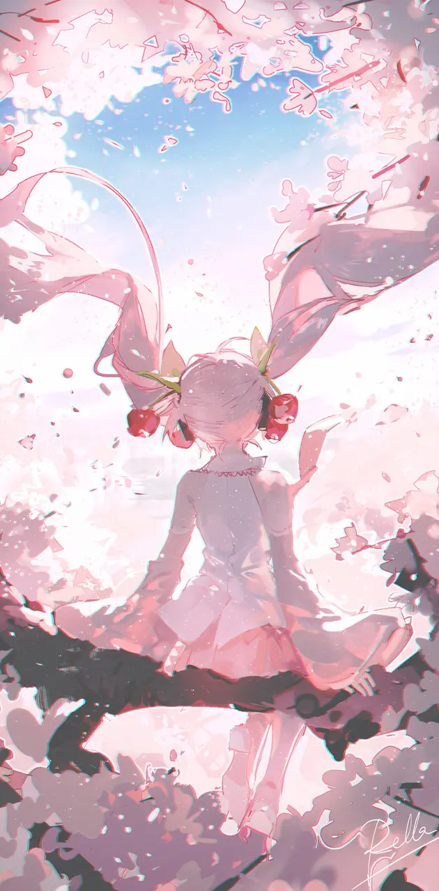 Sakura miku