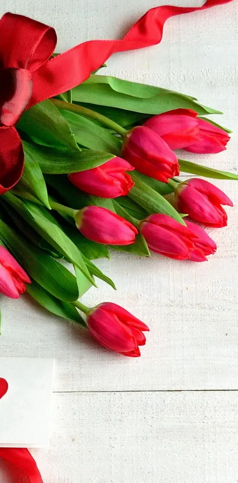 Romantic Tulips